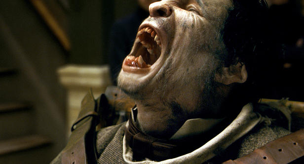 wolfman 6
